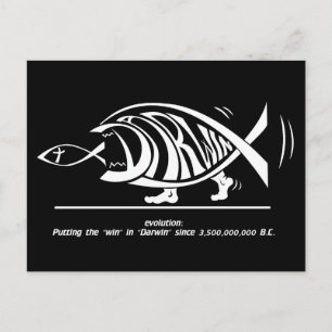 Win in Darwin (von sethness@deviantart) Postkarte