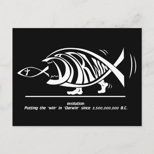 Win in Darwin (von sethness@deviantart) Postkarte (Vorderseite)