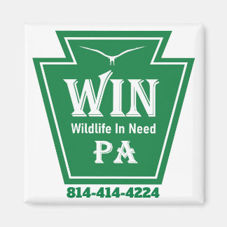 WIN LOGO Kühlschrankmagnet