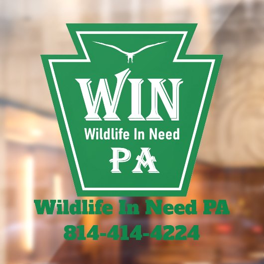 WIN Logo Window Cling Fensteraufkleber (Blatt 2)