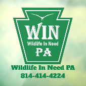 WIN Logo Window Cling Fensteraufkleber (Blatt 3)