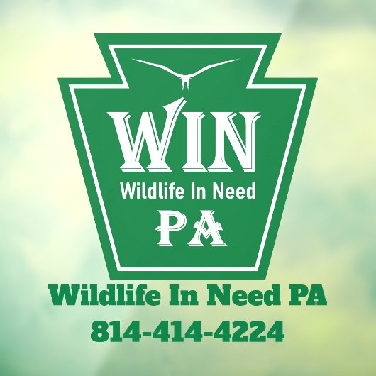 WIN Logo Window Cling Fensteraufkleber (Blatt 3)