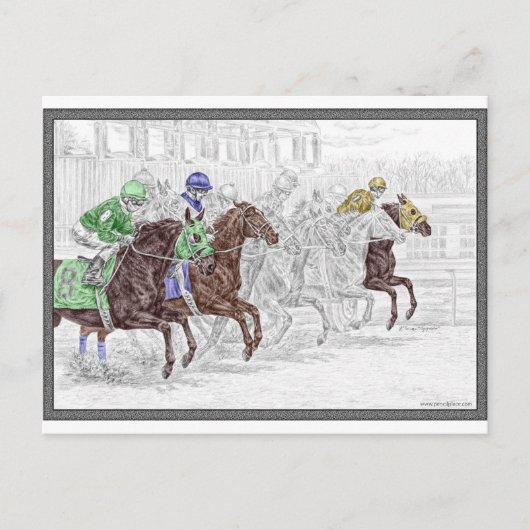 Win Place Show Race Pferde Postkarte (Vorderseite)