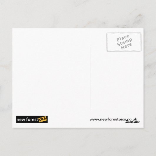 Winchester Postkarte (Rückseite)