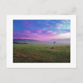 " Winchester Windmill " Postkarte (Vorderseite)