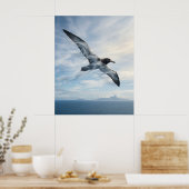 Wind Albatross Endless Ocean Poster (Küche)