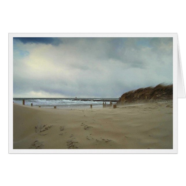 Wind Blown (Vorderseite (Horizontal))