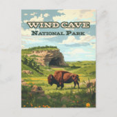 Wind Cave Nationalpark Bison South Dakota Postkarte (Vorderseite)