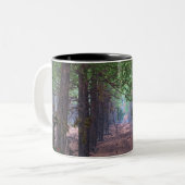 Wind in der Tasse der Pines (Vorderseite Links)