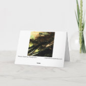"Wind in Gras" Digital transformierte Wiese Karte (Rückseite)