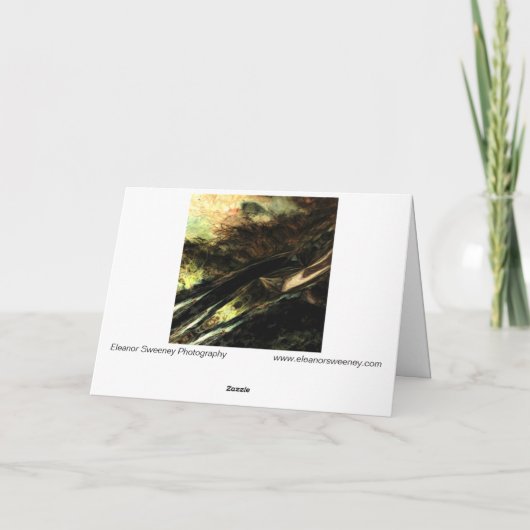 "Wind in Gras" Digital transformierte Wiese Karte (Rückseite)