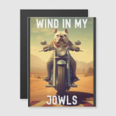 Wind in meinen Jowls : Ein Bulldog, der ein Motorr Magnetkarte (Vorne/Hinten)