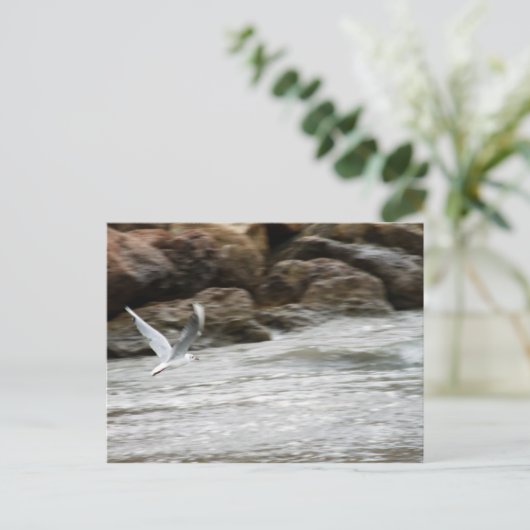 Wind Master Postkarte (Stehend Vorderseite)