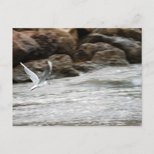 Wind Master Postkarte (Vorderseite)