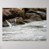 Wind Master Print Poster (Vorne)