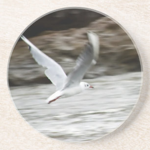 Wind Master Untersetzer