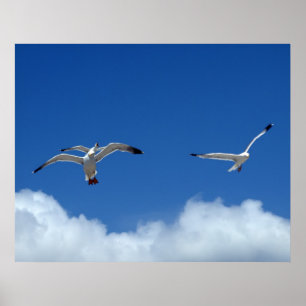 Wind Masters Print Poster