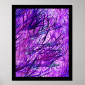 Wind Poster (Vorne)