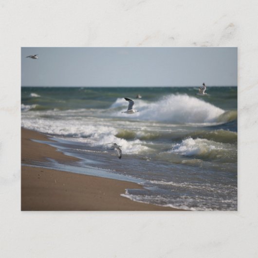 Wind Postkarte (Vorderseite)