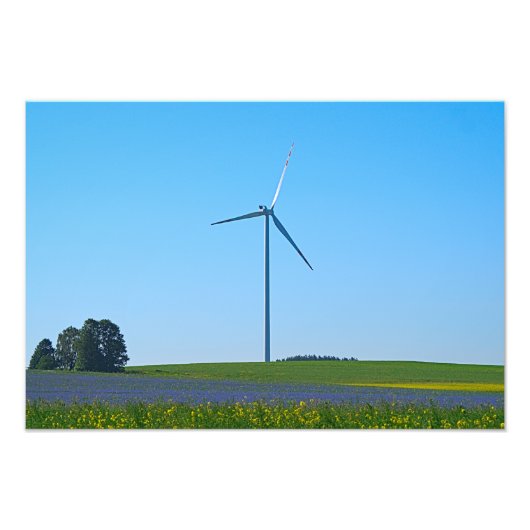 Wind Power Pflanze - Foto (Vorne)