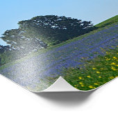 Wind Power Pflanze - Foto (Ecke)