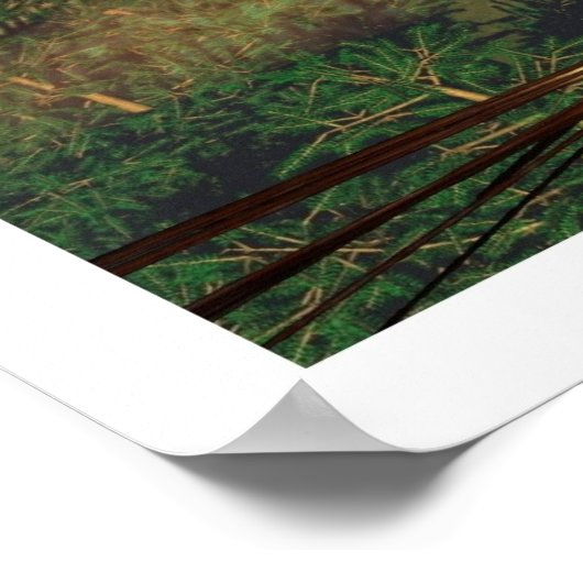 Wind Rider Poster (Ecke)