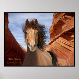 "Wind Runner", Wild-Stallion Poster Print