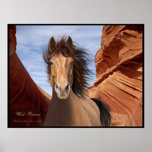 "Wind Runner", Wild-Stallion Poster Print (Vorne)