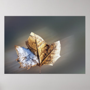 Wind und Schnee Poster