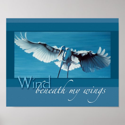 Wind unter meinen Flügeln 11 x 14 Poster (Vorne)
