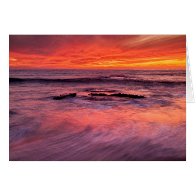 Windansea Beach Red Sunset (Vorderseite (Horizontal))
