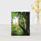 Windbaum Karte (Gelbe Blume)