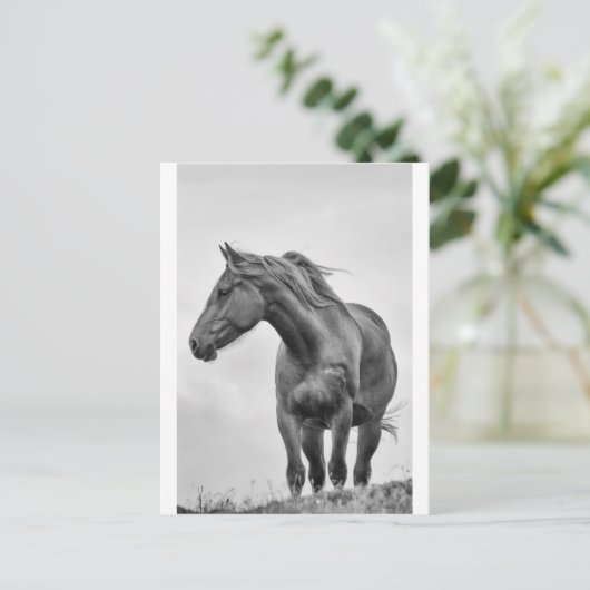 Windblown Postkarte (Stehend Vorderseite)