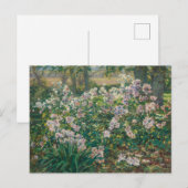 Windblumen von Ruger Donoho Malerei Wildblume Postkarte (Vorne/Hinten)
