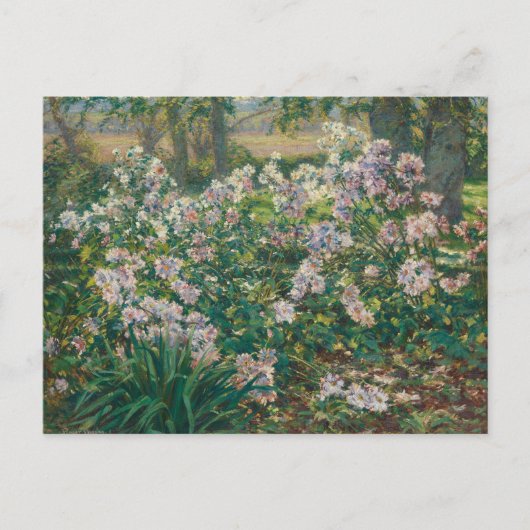Windblumen von Ruger Donoho Malerei Wildblume Postkarte (Vorderseite)
