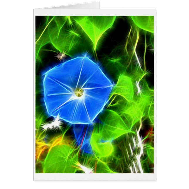 Winde (Vorne)