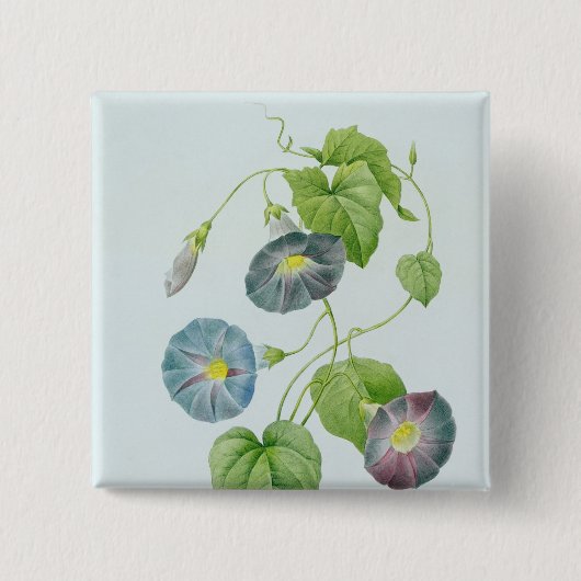 Winde Button (Vorderseite)