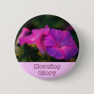 Winde Button
