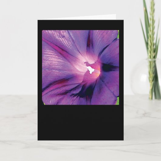 Winde Karte (Vorderseite)