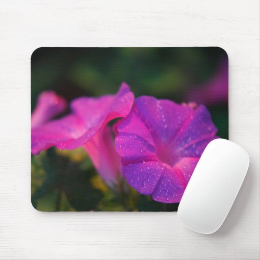 Winde Mousepad (Mit Mouse)