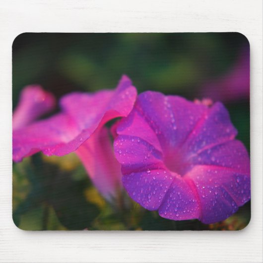 Winde Mousepad (Vorne)
