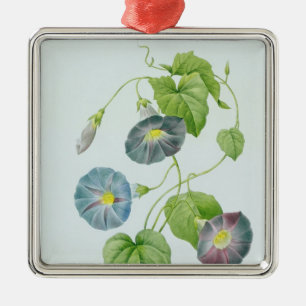 Winde Ornament Aus Metall