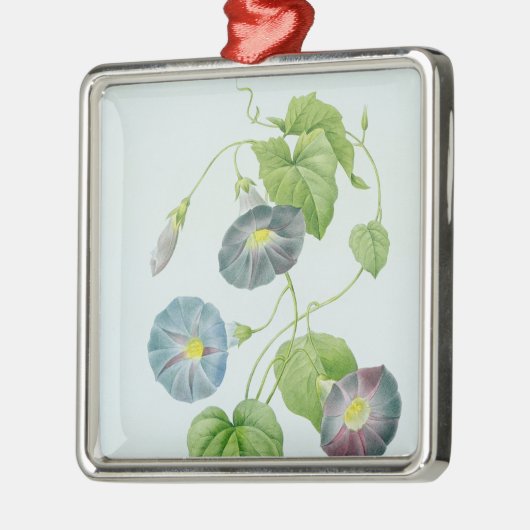 Winde Ornament Aus Metall (Links)