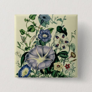 Winde, überziehen 26 "von den Damen Button