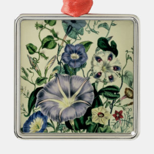 Winde, überziehen 26 "von den Damen Silbernes Ornament