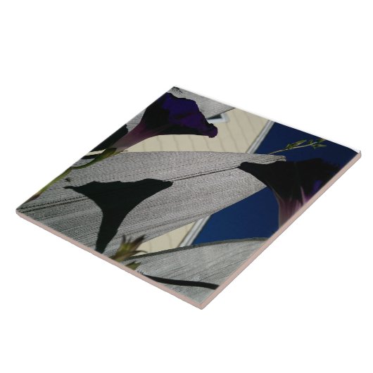 Winden-Blume Fliese (Seite)