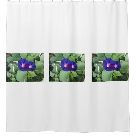 Winden-Blumen-Duschvorhang Duschvorhang (Vorderseite)