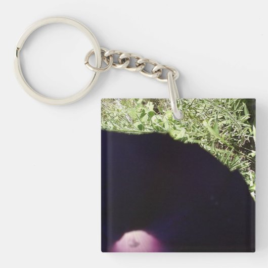 Winden-Blumen-Schlüsselkette Schlüsselanhänger (Vorderseite)