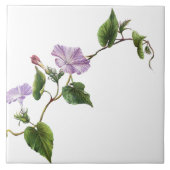 Winden-Blumengarten-botanische Blumen-Fliese Fliese (Vorderseite)