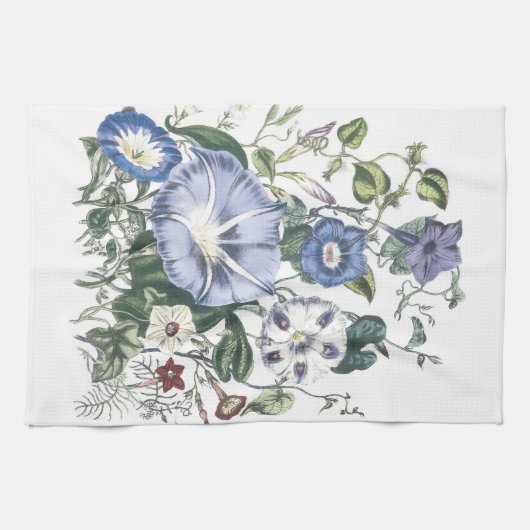 Winden-BlumenGeschirrtücher Küchentuch (Horizontal)